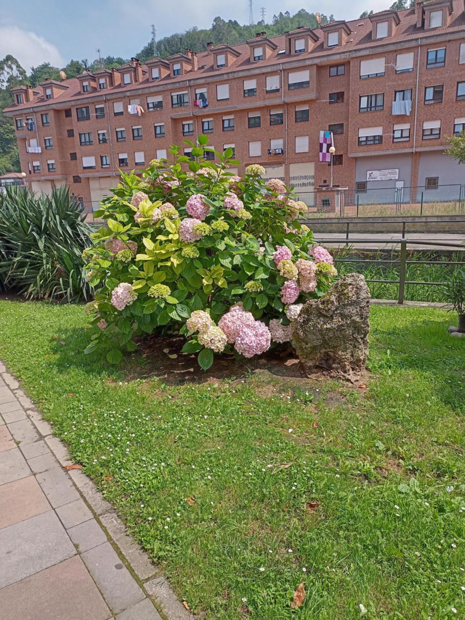 Apartamento El Refugio De Noa Mieres  Exterior foto